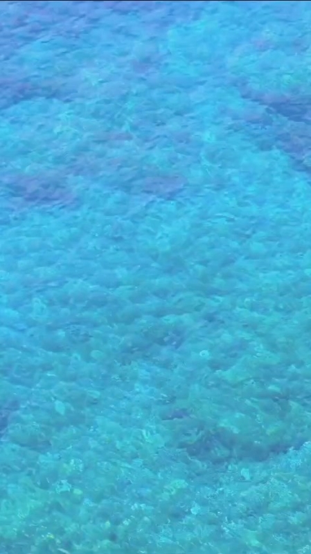 Tarjeta Pratgrancomerç!!! Todavía no la tienes? wwwcalzadosavenida2.com Avda. Montserrat 199 Cerca del Remolar #pratgrancomerç #calzadosavenida2