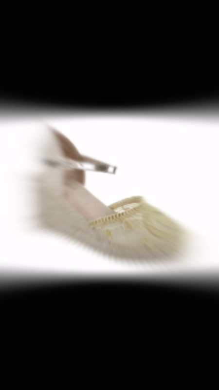 Tiempo de espardeñas!!! CALZADOSAVENIDA2 Avda. Montserrat 199 Cerca del Remolar #espardeñas #esparteñas #alpargatas #cuñas #amarpies #dangela #mysoft #ss24 #sandaliascuña #elpratcomerç #elprat #elpratelmeullocalmon #elpratdellobregat #elprat #elpratgrancomerç #castelldefels #santboi #santclimentdellobregat #viladecans #calzadosavenida2