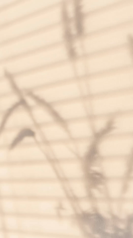 Botas!!! Levanta tus looks!!! CALZADOSAVENIDA2.COM Avda. Montserrat 199 Cerca del Remolar #botasaltas #botasfemininas #botas #botasmujer #botas #santboi #elpratdellobregat #elprat #castelldefels #viladecans #elpratgrancomerç #hospitalet #cornella #elpratelmeullocalmon #calzadosavenida2